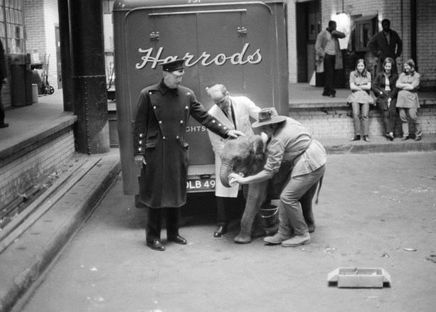 Screen Shot 2017-12-06 at 15.57.40