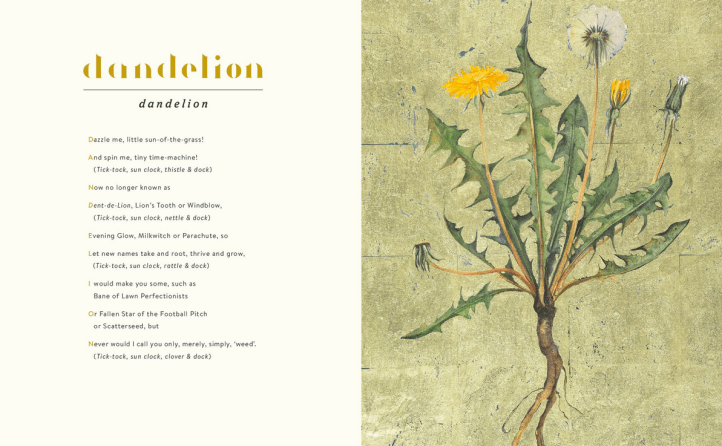 Screen Shot 2018-04-18 at 14.02.32.png