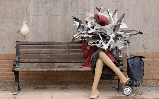 Screen Shot 2018-08-01 at 16.05.12