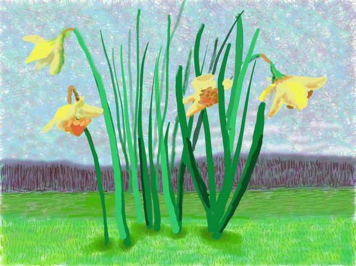 david-hockney-daffodils-spring-32352
